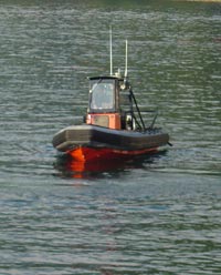 rescue rib on west coast